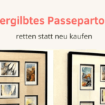 vergilbtes Passepartout retten statt neu kaufen